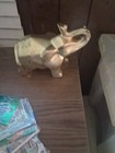 The Vibtagevrare Beautiful GOLDEN ELEPHANT — photo 1