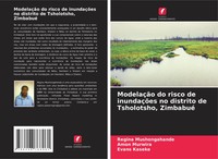 ModelaçãO Do Risco De InundaçõEs No Distrito De Tsholotsho, Zimbabué Taschenbuch