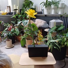 black ceramic vase, Design House Stockholm