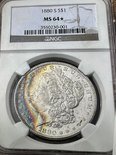 1880 S Toned Morgan $💎💎NGC MS 64* Star💎💎Vibrant Rainbow Color 💎💎SEE VIDEO