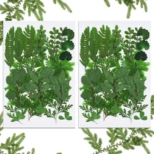 42 Pieces Dried Pressed Leaves for Resin Real Assorted Dried Greenery for Pre...
