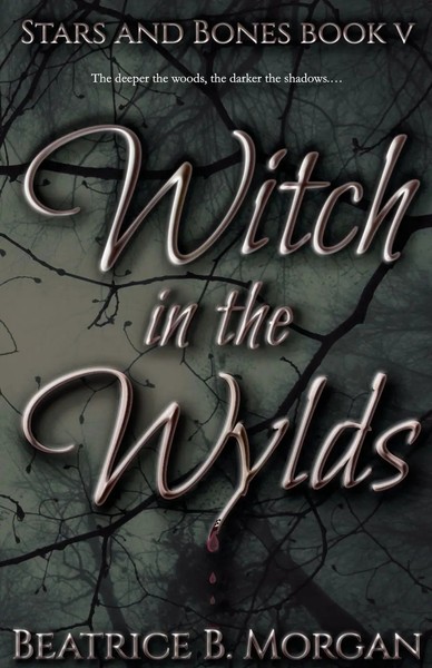 Beatrice B Morgan | Witch In The Wylds | Taschenbuch | Englisch (2024)-image