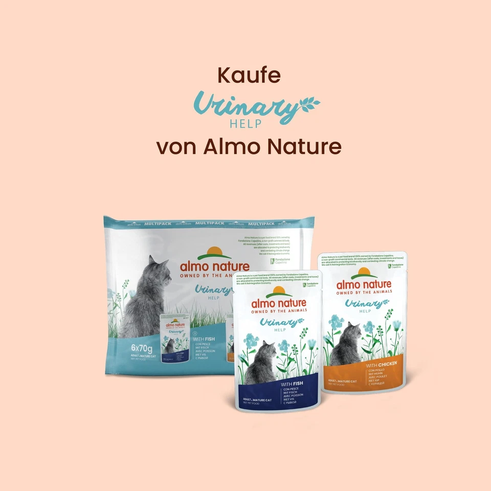 Holistic Urinary Help - Nassfutter für ausgewachsene Katzen - mit Huhn - 70g ... - Bild 4 von 4