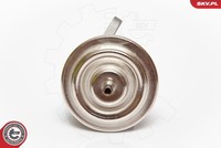 Esen Skv 14SKV068 Agr-Ventil FüR FORD,MERCEDES-BENZ
