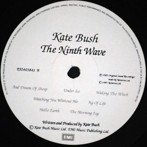 Kate Bush - Hounds Of Love - Used Vinyl Record - H16325A - 第 4/5 張圖片