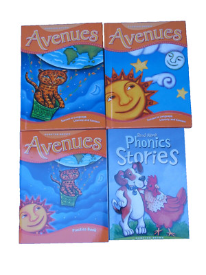 Hampton-Brown AVENUES Grade 1/Level B ~ Set of 4 ESL Materials ~ Homeschool
