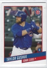 2021 Iowa Cubs (Triple-A Chicago Cubs) Taylor Gushue
