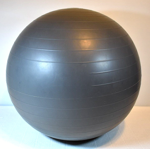 Extra Total Body VHS Video Workout Plus Swiss Ball Core Training Gray Ball & DVD - Picture 2 of 23