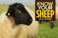 Know Your Sheep | Jack Byard | Taschenbuch | Kartoniert / Broschiert | Englisch