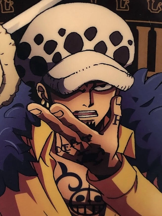 ONE PIECE Trafalgar Law 42 cm Acrylic clear poster BATTLE Memories Collectable, trafalgar law - Vimarsana News
