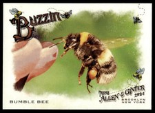 2024 Topps Allen & Ginter Bumble Bee #BUZ-3 Buzzin Insert