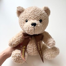 Teddy Bear First Toy with Arms