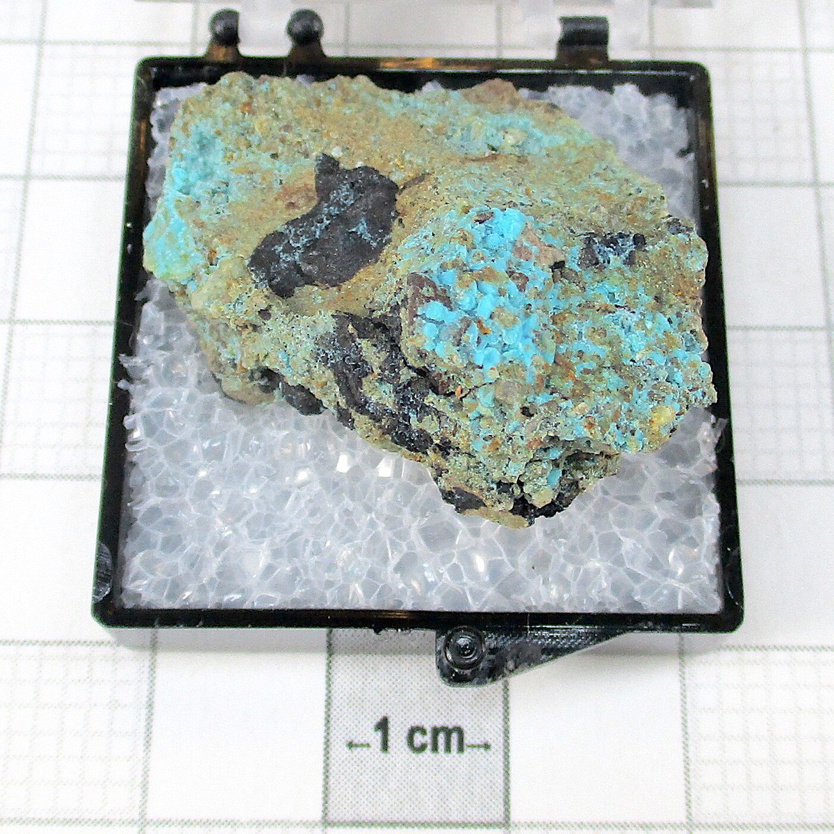 08317 TN Rosasite Contact Mining District Elko County Nevada USA