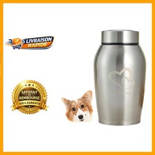 Urne Souvenir de Compagnie: Urne en Acier Inoxydable pour Animaux Bien-Aimés