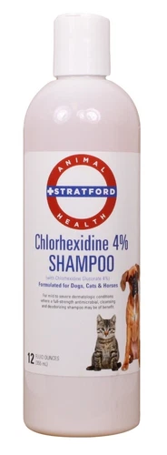 Chlorhexidine 4% Shampoo Plum/Blueberry Scent [Stratford] 12 oz