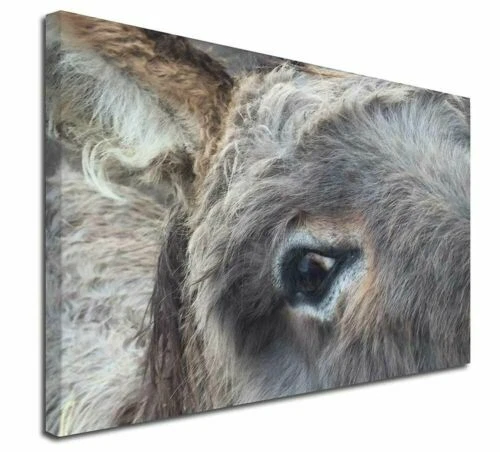 Paintings/Posters/Prints Donkey Collectables