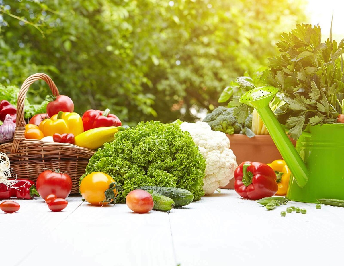 Zolfo Correttivo 85% - 25 Kg Per Agricoltura Biologica | Trattamento Oidio Vite E Ortaggi | Polvere Secca Da Distribuire Con Impolveratori