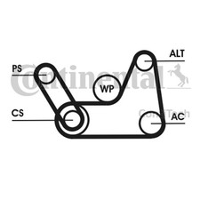 Keilrippenriemensatz CONTINENTAL CTAM 6PK1019 ELAST T1 für FORD FIESTA MAZDA DY