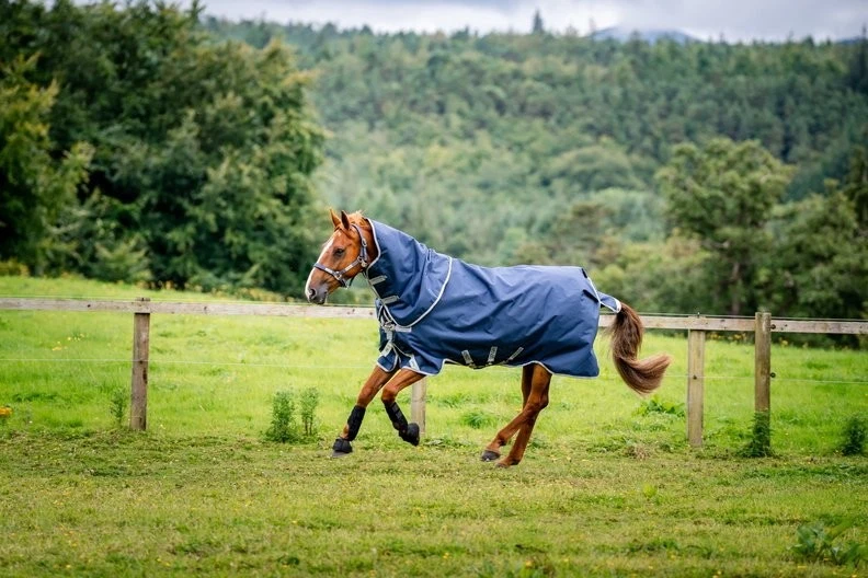 Coperta Horseware Amigo Bravo12 1200D 0g &ndash; Con Cappuccio E Halter, Navy/grigio Titanio