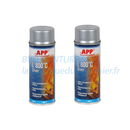 Delkolor Peinture Haute Température en Aérosol - 400ml (Couleur: GRIS) - Bricolage