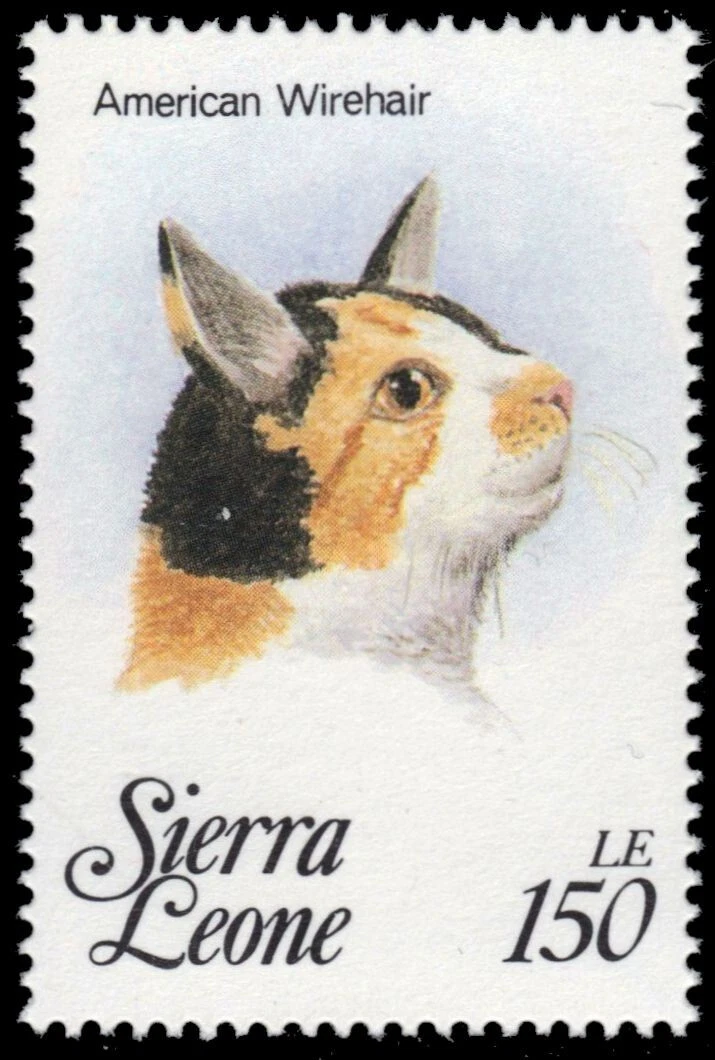 Sellos Coleccionismo Comprar Prophila Collection Dinamarca 300 Varios Sellos Sellos Sellos Para Los Coleccionistas 1279858881 Emociones Fosiles