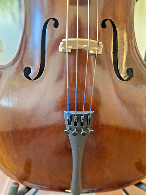 Mint Open Box Maple Leaf Chaconne 3/4 Size Cello model MLS500C