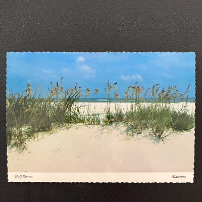 VTG Gulf Shores, Alabama Sea Oats Buford D. Myrick Postcard Unposted