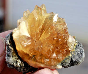 Calcite Crystal Fragment #12 • Clam from Ruck's Pit, Fl • Mercanaria permanga