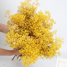 Dried Babys Breath Bouquet 17.2 Inches 2500 Flowers Natural Gypsophila YW