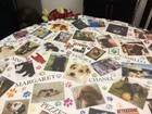 Faliero Sarti SCARF / DOG BLANKET ? DOG THEME. AMAZING. LARGE — photo 1