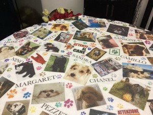 Faliero Sarti SCARF / DOG BLANKET ? DOG THEME. AMAZING. LARGE