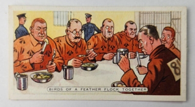 1936 Ardath Proverbs Tobacco Card #8 Birds of a Feather Flock Together