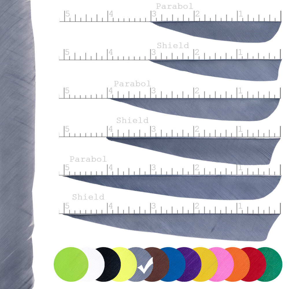 Juego de 20 BSW Solid - resorte natural - monocromo - 2 pulgadas gris parábola - construcción de flechas