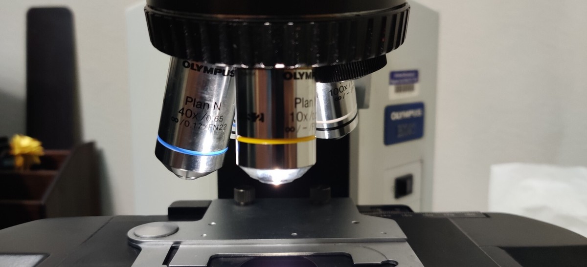 Olympus BX41 Biological Microscope for sale online | eBay Olympus BX41 Biological Microscope for sale online | eBay