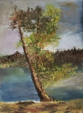 ANDRE DLUHOS Landscape Tree Nature Water Shore Seaside Original Art Oil Painting