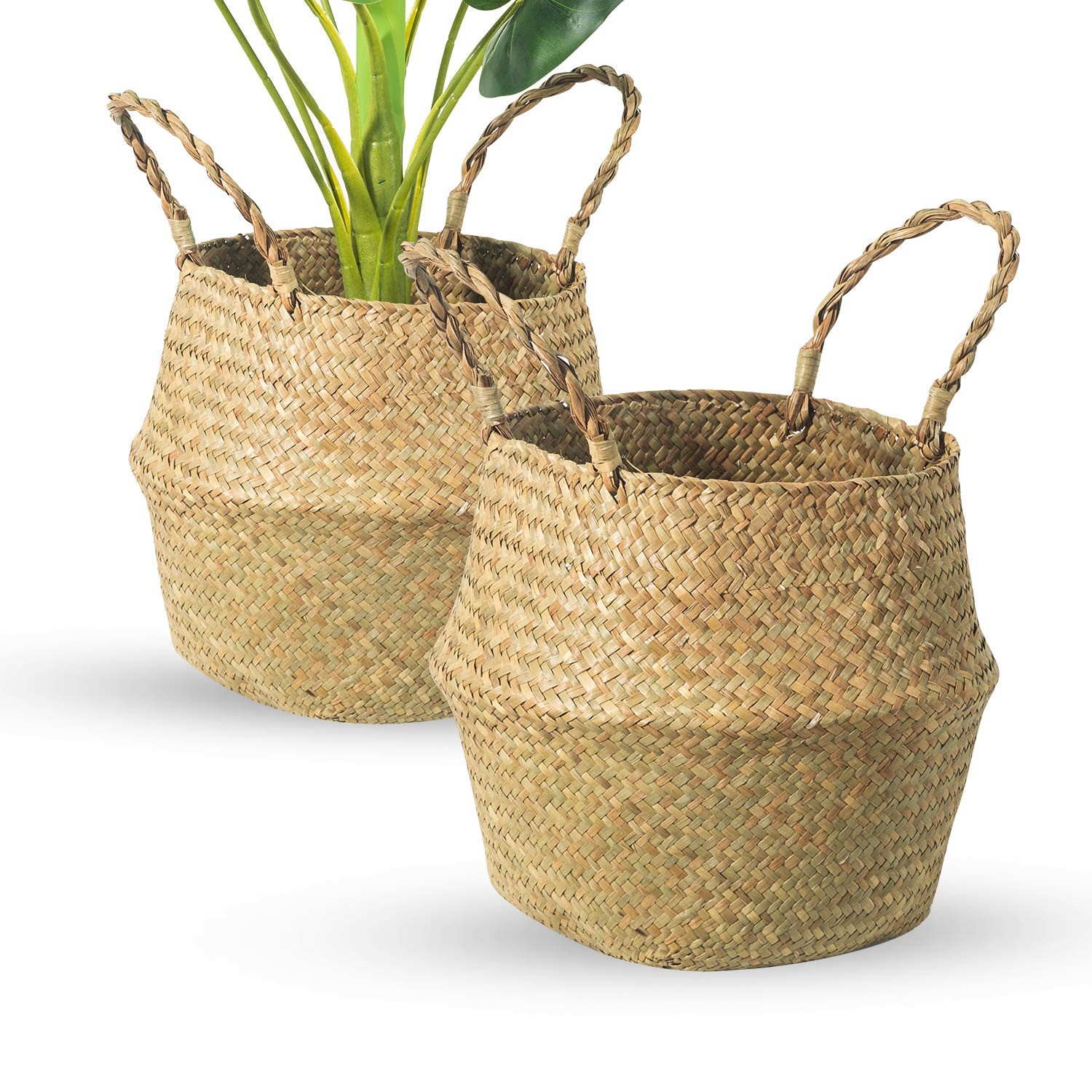 Seagrass Belly Basket, Set of 2 Woven Plant Pot Holder handmade Home Decor fo...