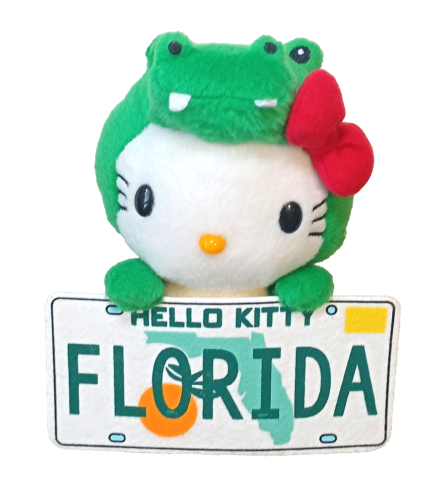 New Hello Kitty Florida 6