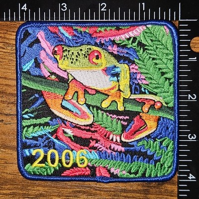 Costa Rica Rain Forest Tree Frog 2006 Patch