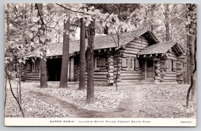 White Pines Forest State Park Super Cabin Illinois Postcard E42