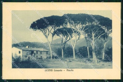 Genoa Sestri Levante Pineta postcard RT1253
