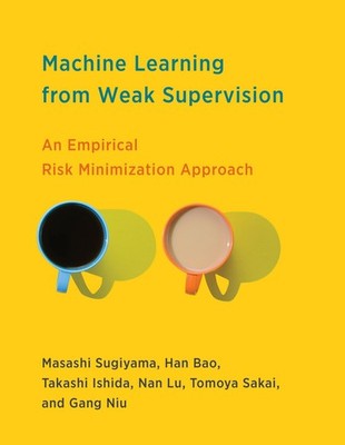 Machine Learning from Weak Supervision: An Empirical Risk Minimization Approach 