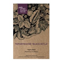 Teparybohne 'Black Mitla' (Phaseolus acutifolius)  Samen