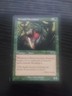 Berserk Murlodont #117 (NM) Legions LGN Magic MTG