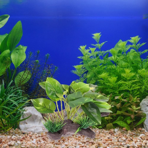 Legno sommerso simulato e piante acquatiche acquario driftwood pesci serbatoio ornamento - Foto 8 di 12