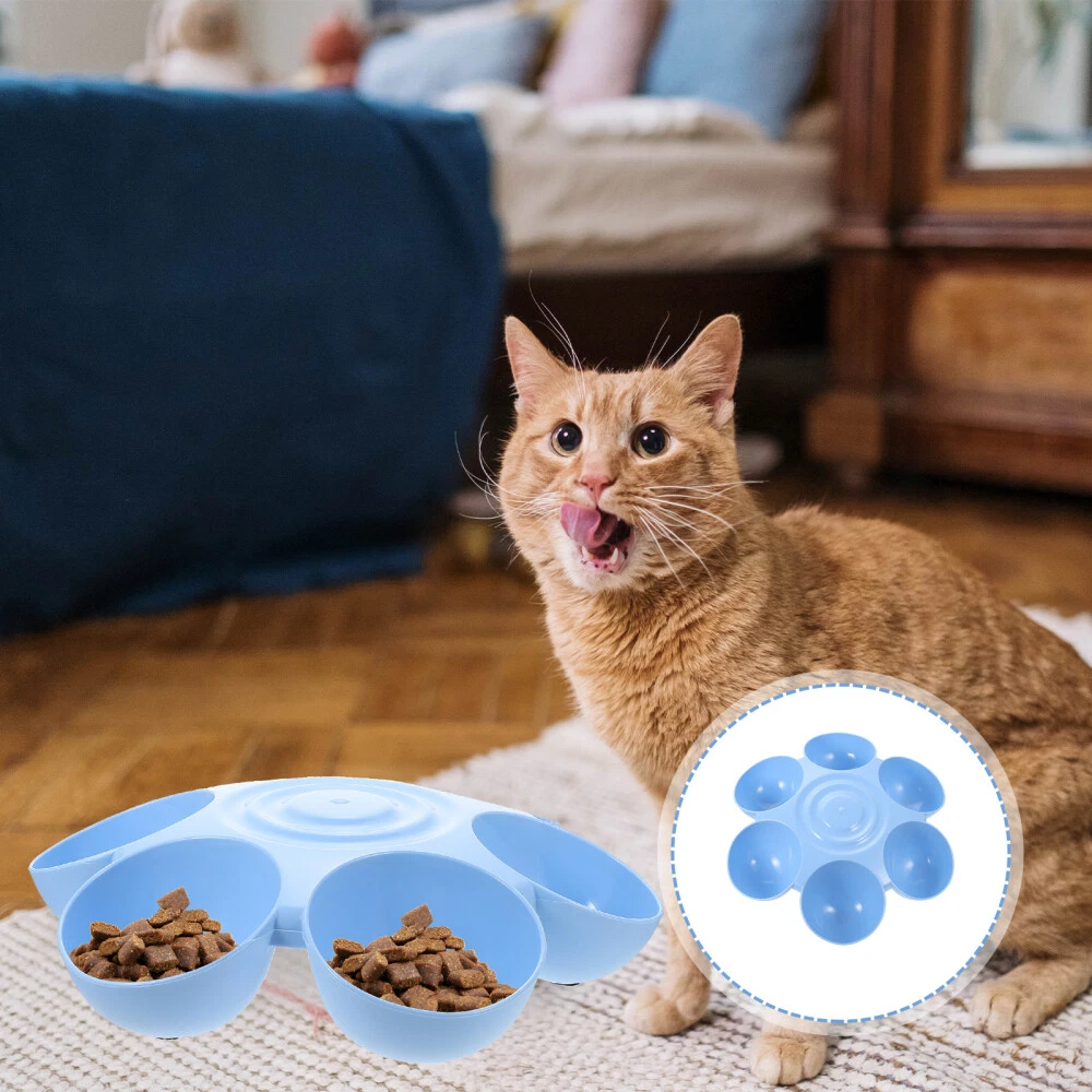 Kitten hotsell feeding bowls
