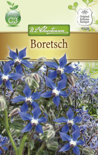 Boretsch seeds cucumber herb borets seeds salad herb spices medicinal plant seeds - Picture 1 of 1