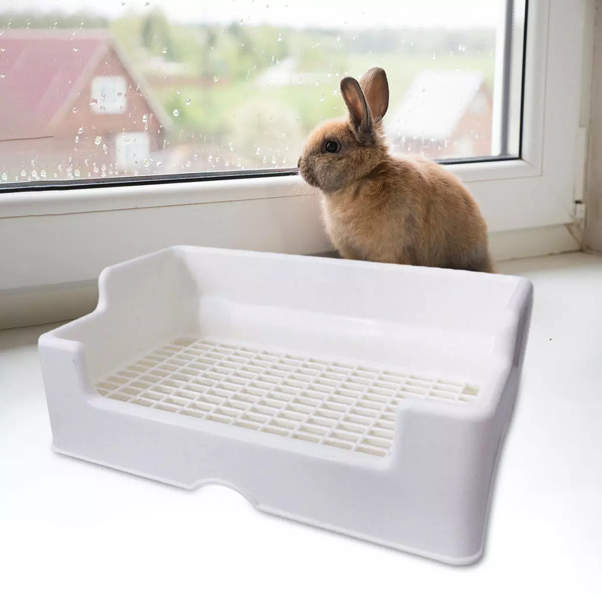 Rabbit Litter Boxes with High Baffle Grid Bedpan Multifunction