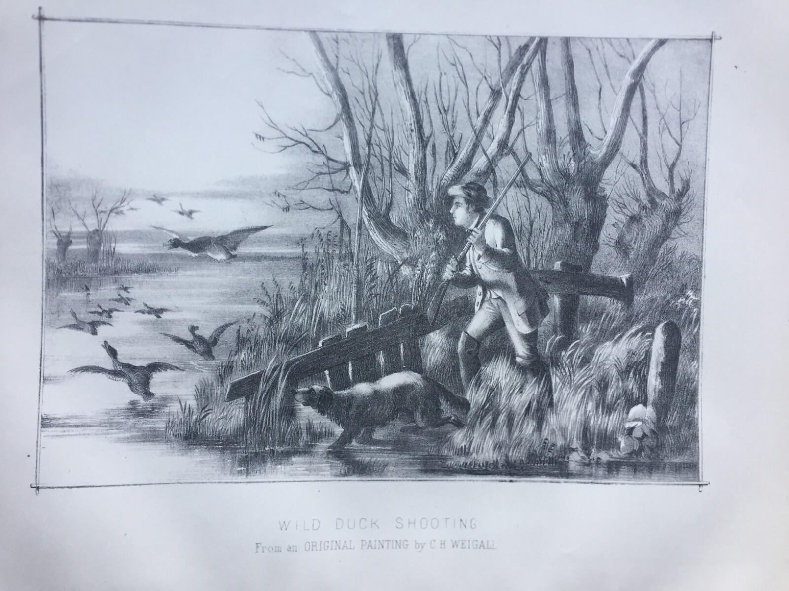 Picture 5 of 16