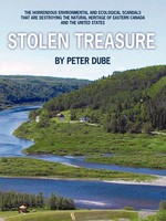 Peter Dube | Stolen Treasure | Taschenbuch | Englisch (2009) | AuthorHouse