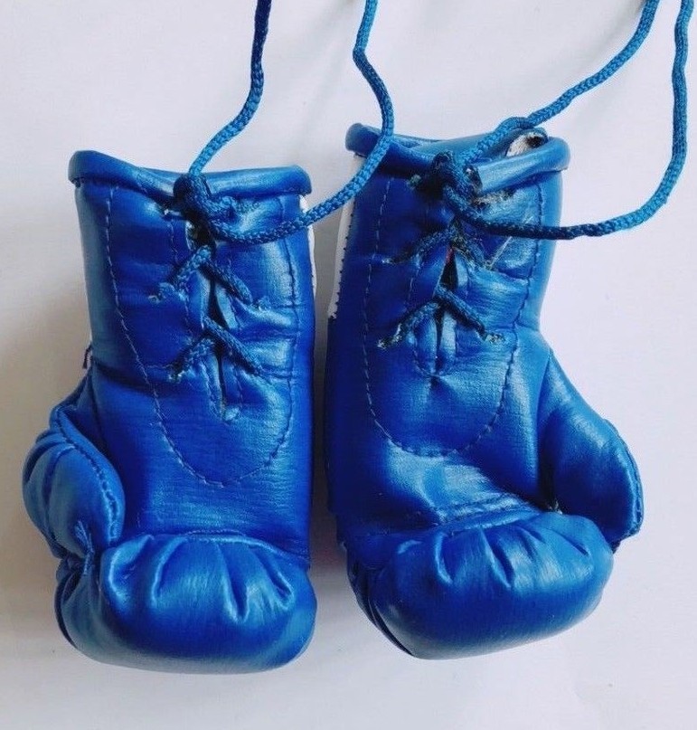 Everlast Blue Mini Boxing Gloves for Autograph Hunters eBay